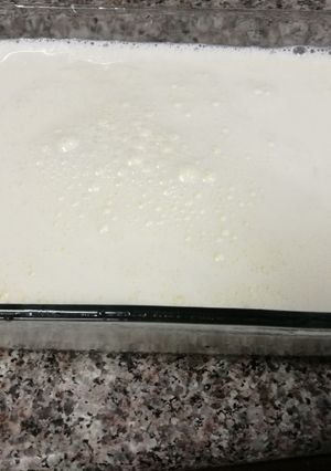 A picture of Powder milk yogurt.