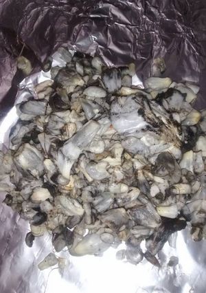Una foto de Huitlacoche a la mexicana