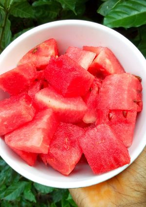 A picture of Watermelon.
