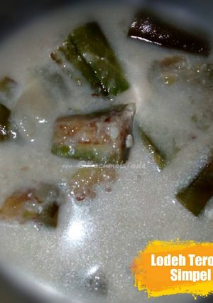 Foto resep Lodeh Terong Simpel