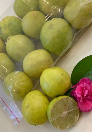 عکسی از دستور فریز کردن لیمو تازه 🧊🍋🫧🌸