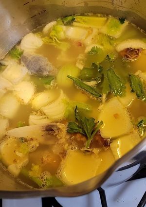 A picture of Chicken Stock.