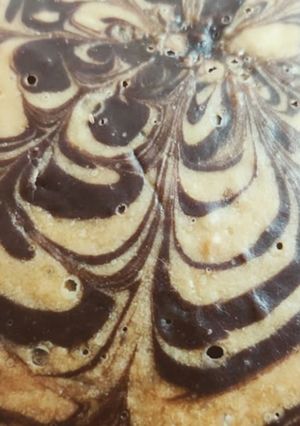 A picture of Zebra Cake.