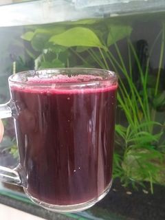 عکسی از دستور آب زرشک