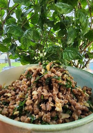 A picture of Stir-Fried Ground Beef with Wild Betel Leaves.