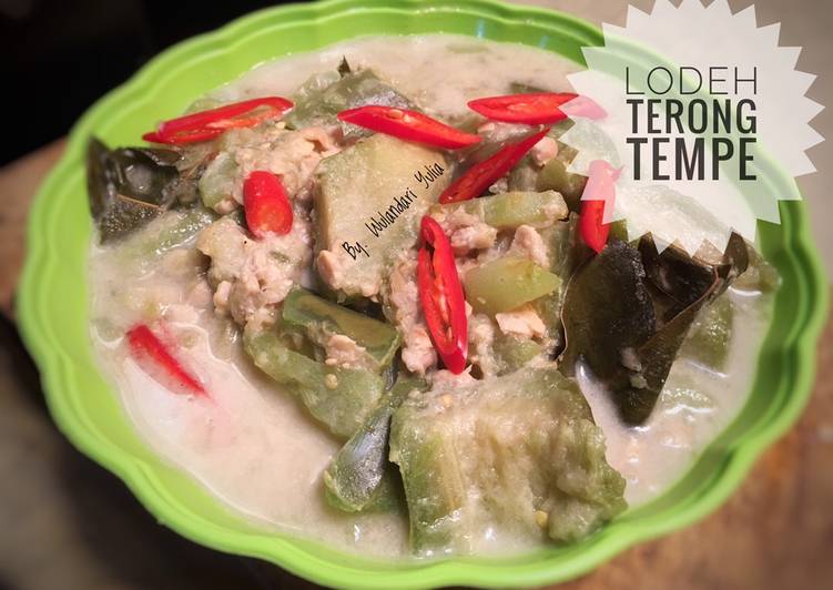 Lodeh Terong Tempe