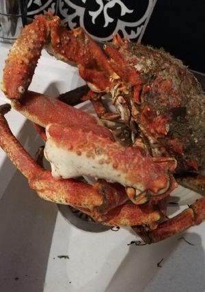 Une photo de Araignée de mer