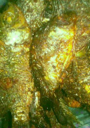 Foto resep Goreng ikan mujair garing😊
