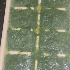 A picture of Green chilies cube.