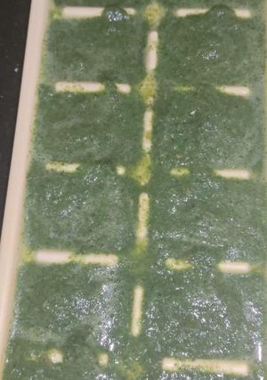 A picture of Green chilies cube.