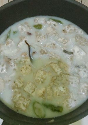 Foto resep Lodeh tempe lombok ijo fibercreme