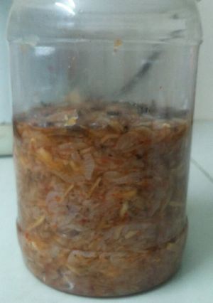Hình của món Mắm tép (mắm xổi).
