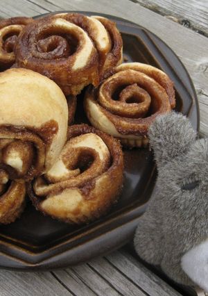 A picture of Cinnamon Knots.