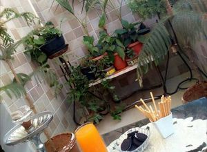 صورة لوصفة عصير برتقال 🍹