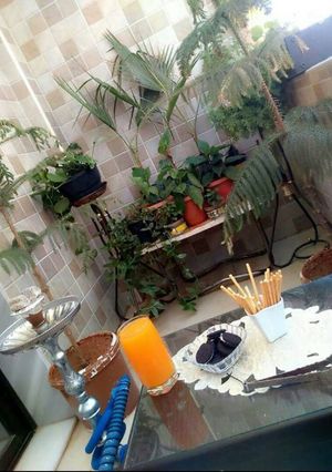 صورة لوصفة عصير برتقال 🍹