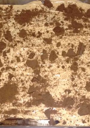 Una foto de Chocotorta
