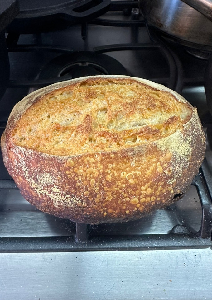 Una foto de Pan con Masa Madre a la Sonorense
