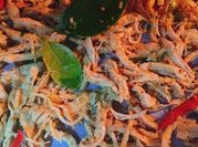 A picture of lime leaf