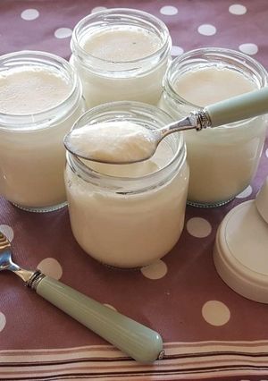 Une photo de Yaourt au Lait de Coco