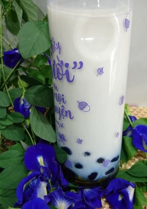 Hình của món Sữa tươi trân châu hoa đậu biếc.