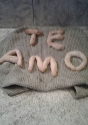 Una foto de Pancitos integrales