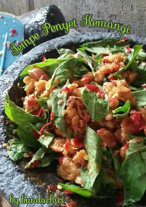 Foto resep Tempe Penyet Kemangi
