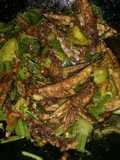 Oseng pindang/gerih abang (ikan asin) lombok,tomat ijo,dan blalo