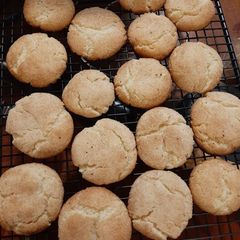A picture of Snickerdoodle Yumms.