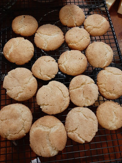 A picture of Snickerdoodle Yumms.