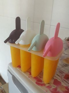 عکسی از دستور آلاسکا بستنی