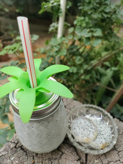 ડ્રેગન ફ્રૂટ મિલ્કશેક (Dragon Fruit Milkshake Recipe In Gujarati) રેસીપી મુખ્ય ફોટો