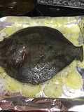 Rodaballo al horno con ensalada de aguacate