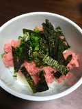 Negi toro don