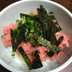 A picture of Negi toro don.