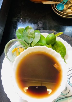 A picture of Galangal soup.