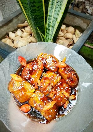 Foto resep Tahu teriyaki