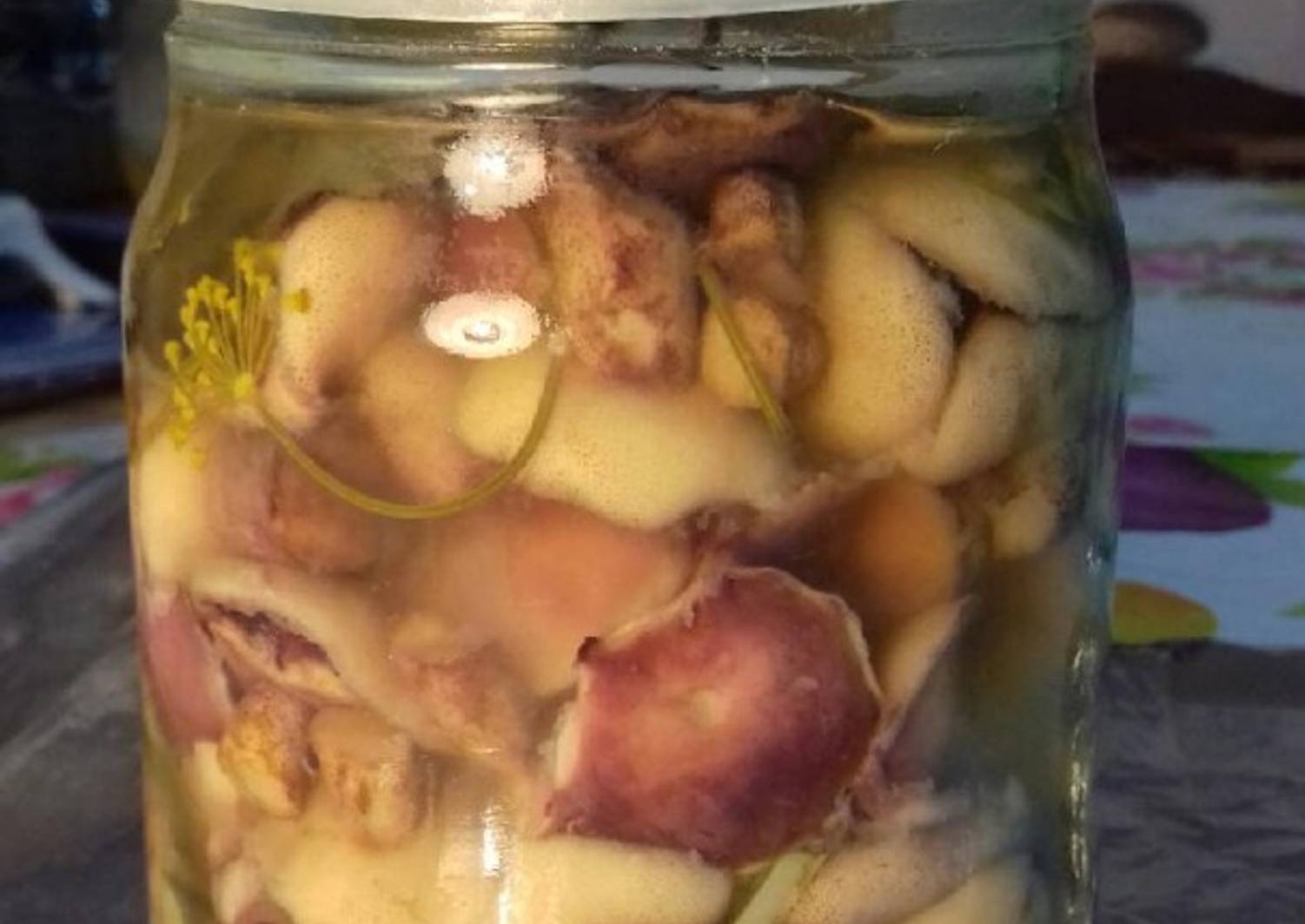 Мариновка маслят. Маслята маринад на зиму с уксусом. Маслята маринад на зиму с уксусом. Грибы в банке маринованные. Маринованные маслята на зиму без стерилизации.