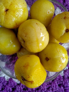 આથેલા આમળા (Aathela Aamla Recipe In Gujarati) રેસીપી મુખ્ય ફોટો