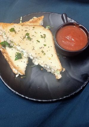 A picture of Tadka sandwich.
