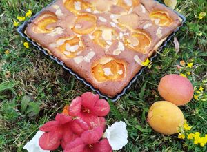 Une photo de Dessert Abricot - Skyr cheesecake Mandarine