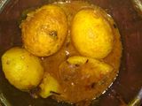 Egg kosha