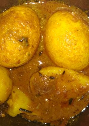 A picture of Egg kosha.