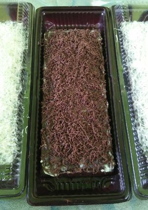 Foto resep Kue Brownies