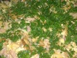 Gramajo