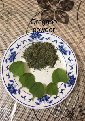 A picture of Homemade oregano powder.