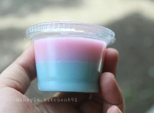 Foto resep Agar-agar Santan 100 cup