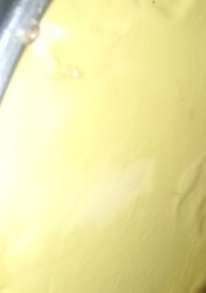 Una foto de Flan casero😍🍮✨