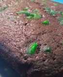 Eggless chocolate loaf cake