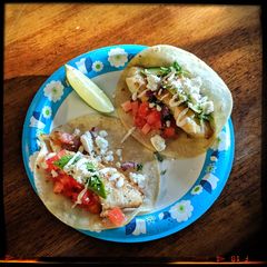 A picture of Fish Tacos.
