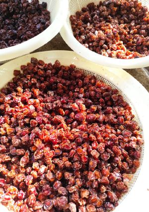عکسی از دستور آلو خشک